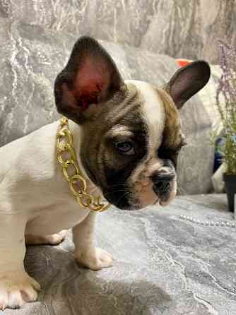 Продам Донецк