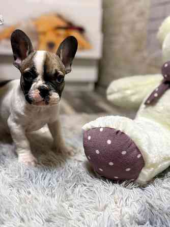 Продам Донецк