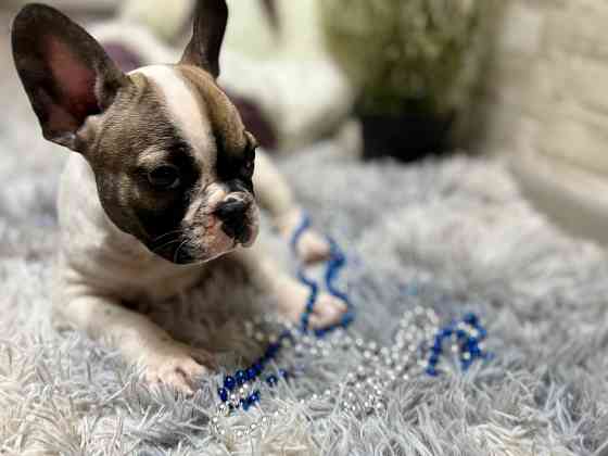 Продам Донецк