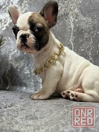 Продам Донецк - изображение 6