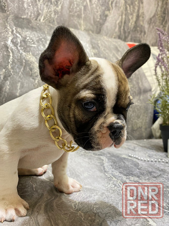 Продам Донецк - изображение 1