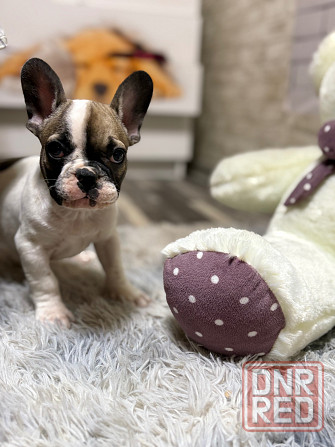 Продам Донецк - изображение 2