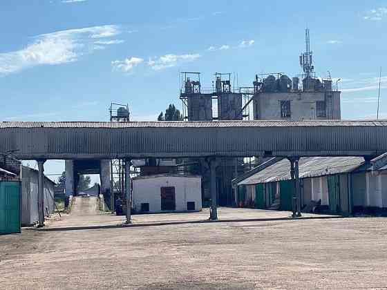 Продам производвтвенный цех (ток для обработки зерновых) Луганск Луганск