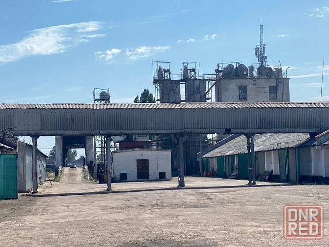 Продам производвтвенный цех (ток для обработки зерновых) Луганск Луганск - изображение 1