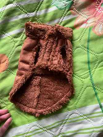 Курточка для маленькой собачки Макеевка