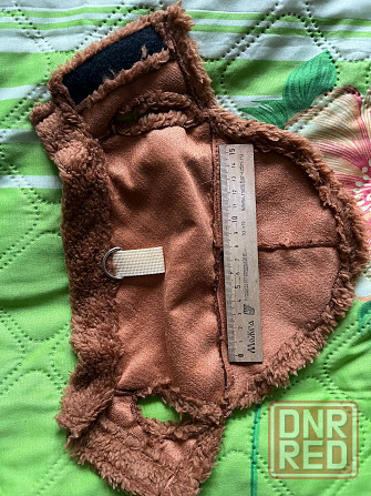 Курточка для маленькой собачки Макеевка - изображение 1