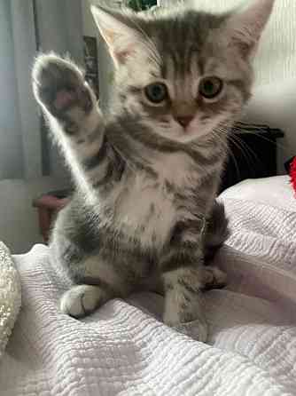 Европейская Донецк