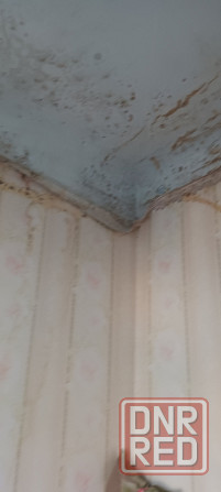 2х комнатная квартира в г.Зугрэс Зугрэс - изображение 4