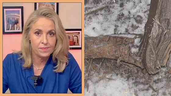 "Классическая" сё "Гебефрения" Донецк