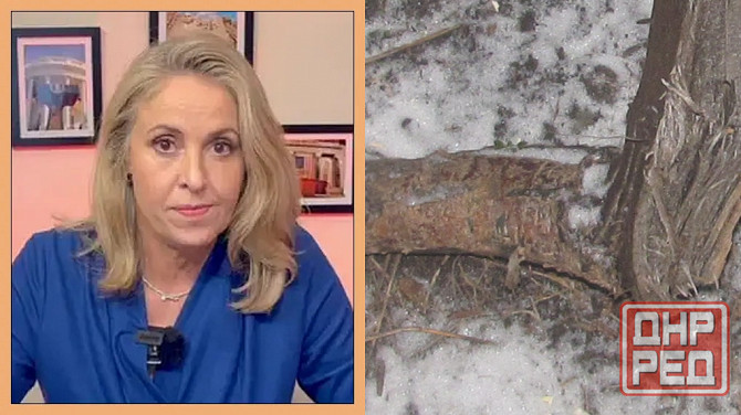 "Классическая" сё "Гебефрения" Донецк - изображение 1