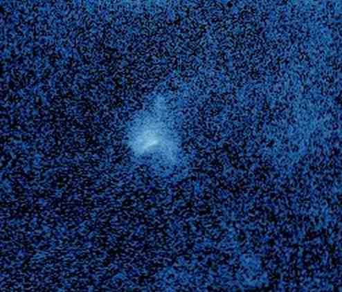 Ибо Фазаны мои' на "зарплате" Донецк