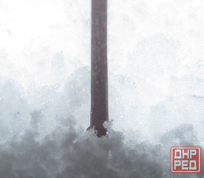 От себя' добавлю "не голодные" Донецк - изображение 1