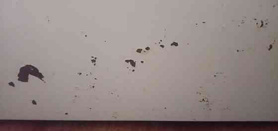 Продам комбинированную электроплиту Hansa (2 конфорки газовые) Донецк