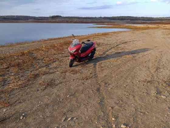 Продам мопед сел поехал Донецк