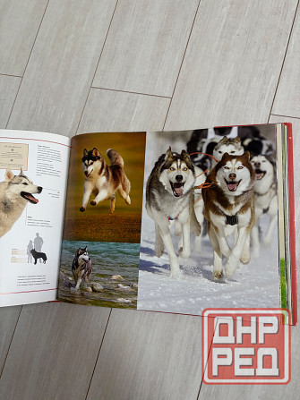Книга о собаках Донецк - изображение 2