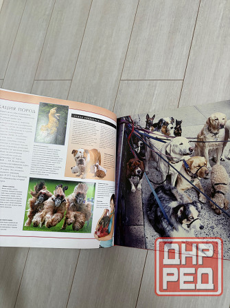 Книга о собаках Донецк - изображение 3