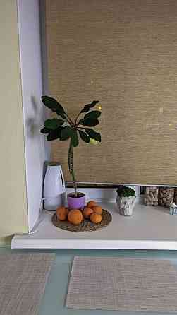 Сдам 1-к квартиру переулок Россини, 6 Донецк сити Донецк