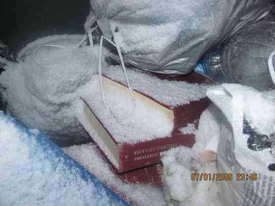 Шо с дерева "шаровая молния" Донецк