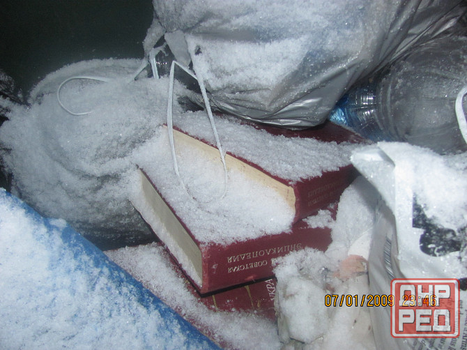 Шо с дерева "шаровая молния" Донецк - изображение 1