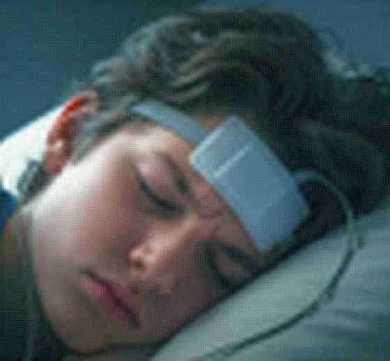 Закажите "в сарае" #Nomad Донецк