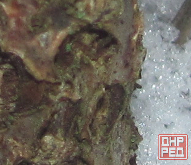 "Говорит" шо "Зимов" парашют Донецк - изображение 1