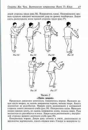 Продам книгу "Секреты Вин Чунь. Вьетнамское направление Тэ Конга - Чан Юлун" Донецк