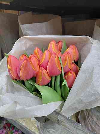 Тюльпаны свежие оптом Донецк