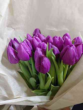 Тюльпаны свежие оптом Донецк