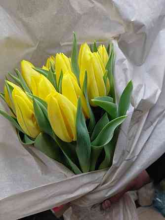 Тюльпаны свежие оптом Донецк
