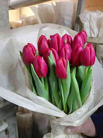 Тюльпаны Донецк