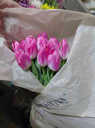 Тюльпаны Донецк