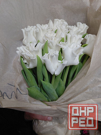 Тюльпаны Донецк - изображение 7