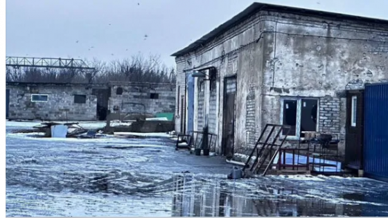 сдается помещение свободного назначения Мариуполь