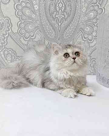 Девочка Макеевка