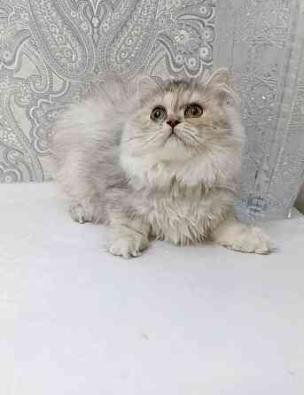 Девочка Макеевка