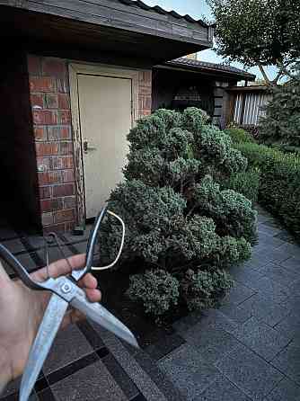 Дом у моря Бердянск