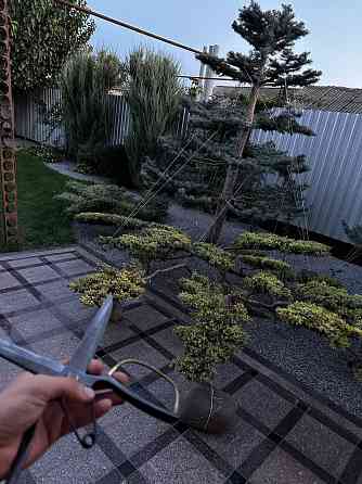 Дом у моря Бердянск