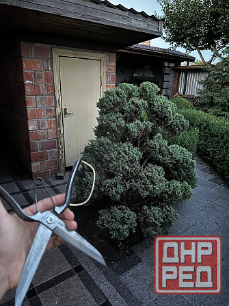 Дом у моря Бердянск - изображение 5