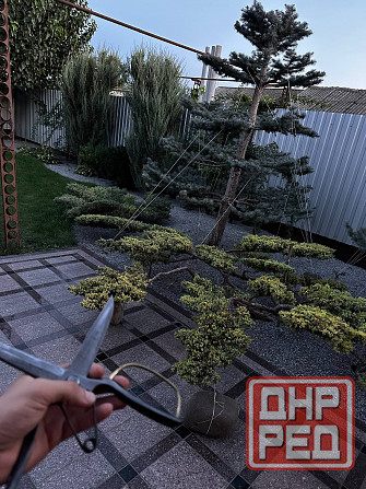 Дом у моря Бердянск - изображение 3