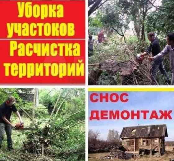 Вывоз мусора, Демонтаж ,спил деревьев, уборка участков Луганск