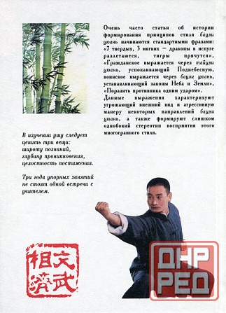 Продам книгу "Ба цзи цюань кулак восьми пределов - Скичко" Донецк - изображение 5