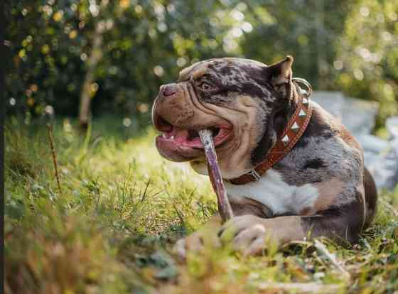 Завод производства колбасных изделий,Макеевка Макеевка