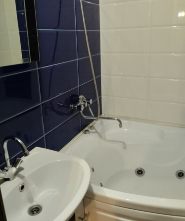 1- комнатная квартира, на длительный срок Донецк