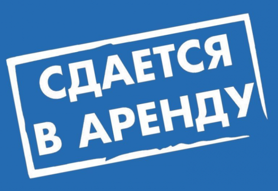 Аренда площадки под продажу автомобилей г. Донецк, проспект Ильича ( ориентир сто Лидер) Донецк