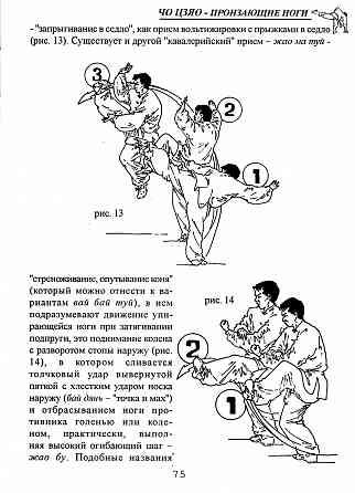 Продам книгу "Чо цзяо. Стиль пронзающие ноги. Книга 1-2 - Ротань" Донецк