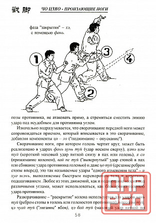 Продам книгу "Чо цзяо. Стиль пронзающие ноги. Книга 1-2 - Ротань" Донецк - изображение 6