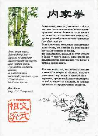 Продам книгу "Кулачная техника нэй цзя цюань - Ротань" Донецк