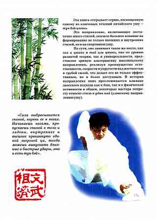 Продам книгу "Тунбэй цюань принципы и основы - Ротань" Донецк