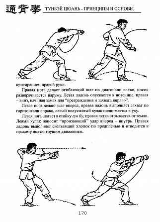 Продам книгу "Тунбэй цюань принципы и основы - Ротань" Донецк
