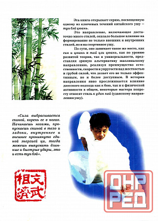 Продам книгу "Тунбэй цюань принципы и основы - Ротань" Донецк - изображение 5